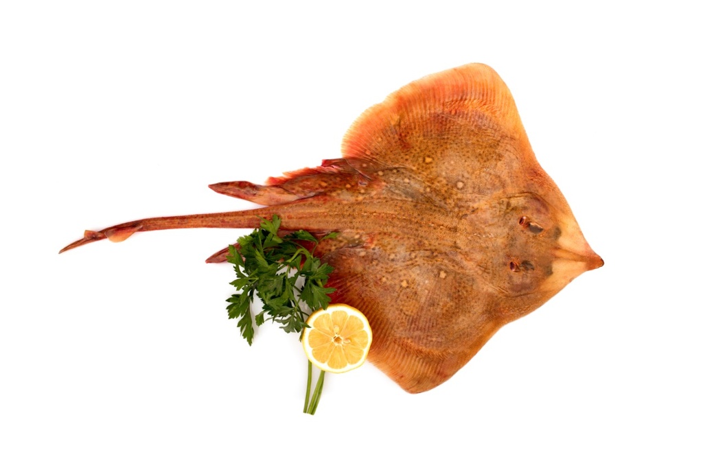 Raie | Aile sans peau | 900 g+