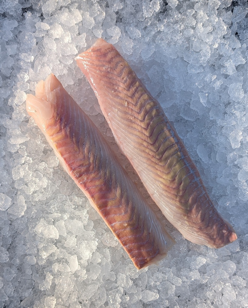 Lieu noir | Dos sans peau | 200 g+