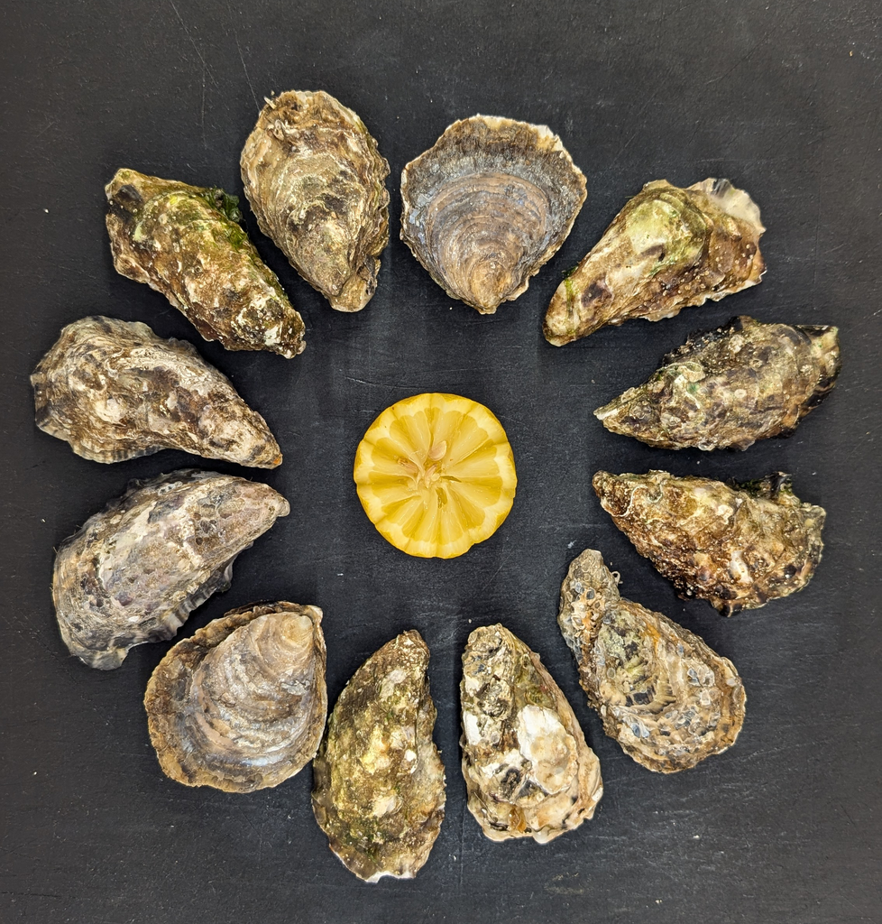 Huîtres | Sélection Au Grand Bleu | 12 pces