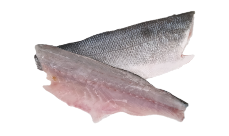 Tacaud | Filet sans peau | Par défaut