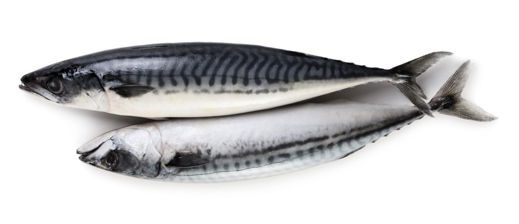 Maquereau | Entier | 200/300 g