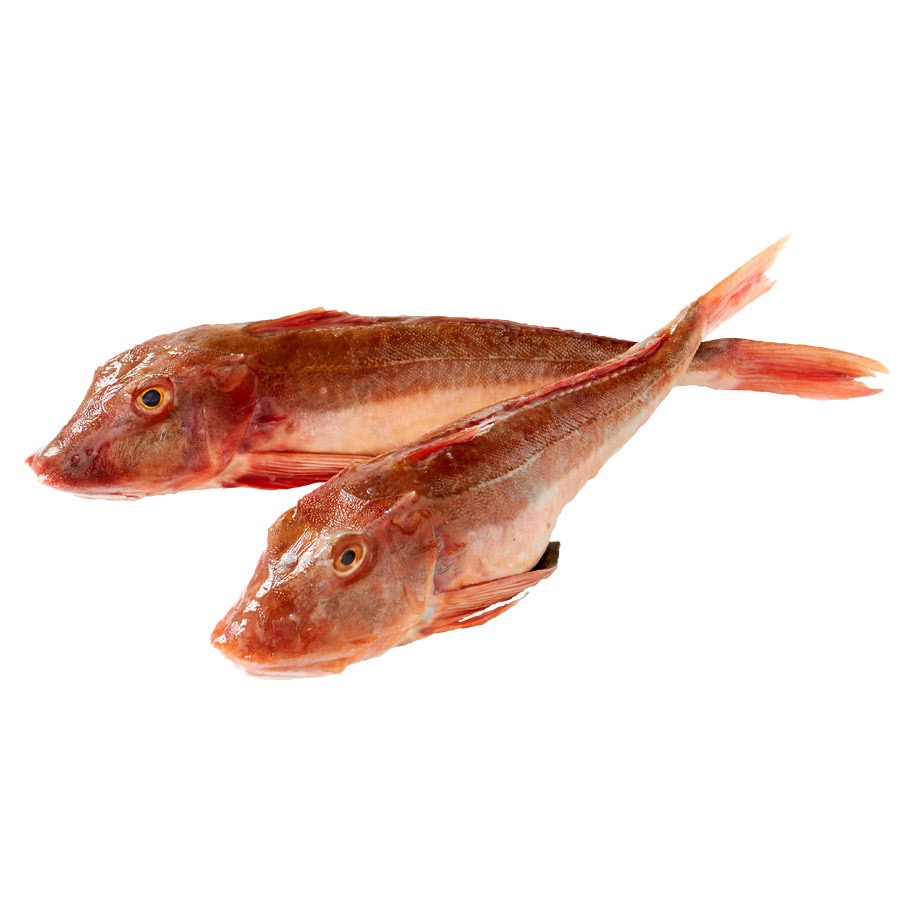 Grondin perlon | Entier | 400/800 g