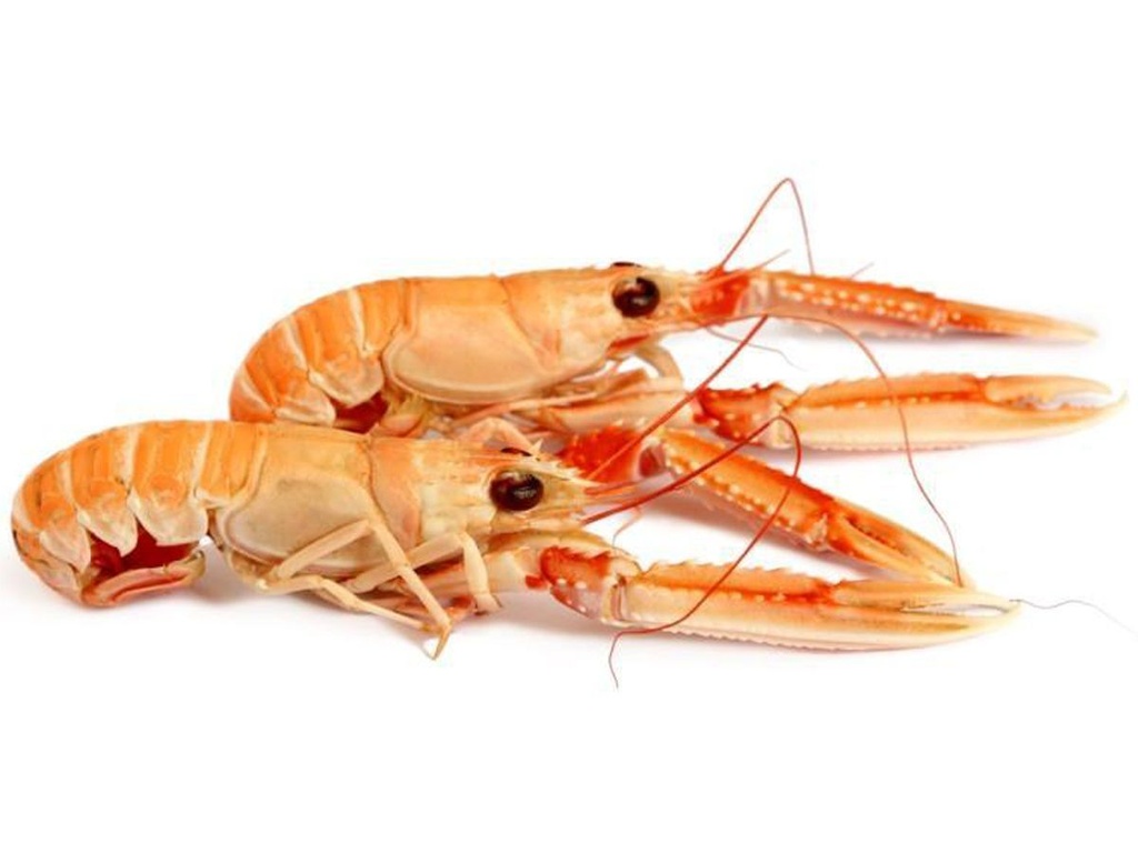 Langoustine * | Entière | 4/7