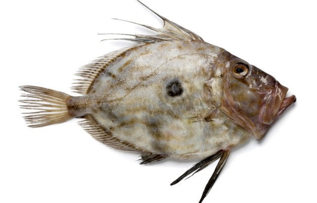 Saint-pierre * | Filet avec peau | 150/200 g