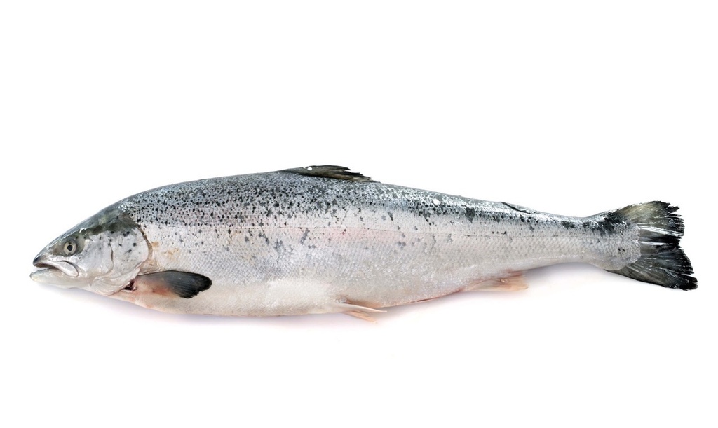 Saumon | Cuit Bellevue Filet | 4/5 k brut