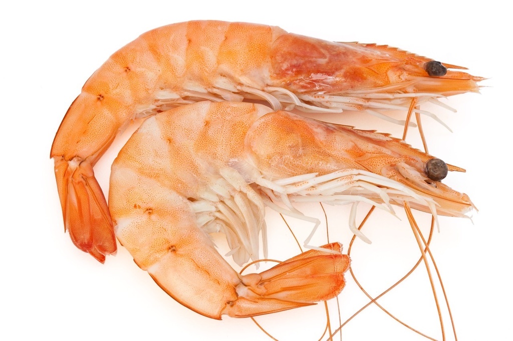 Crevette Sauvage | Sous Atm. par 2 kgs  -  CUITES | U10
