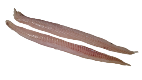 Lingue bleue | Dos avec peau | Par défaut