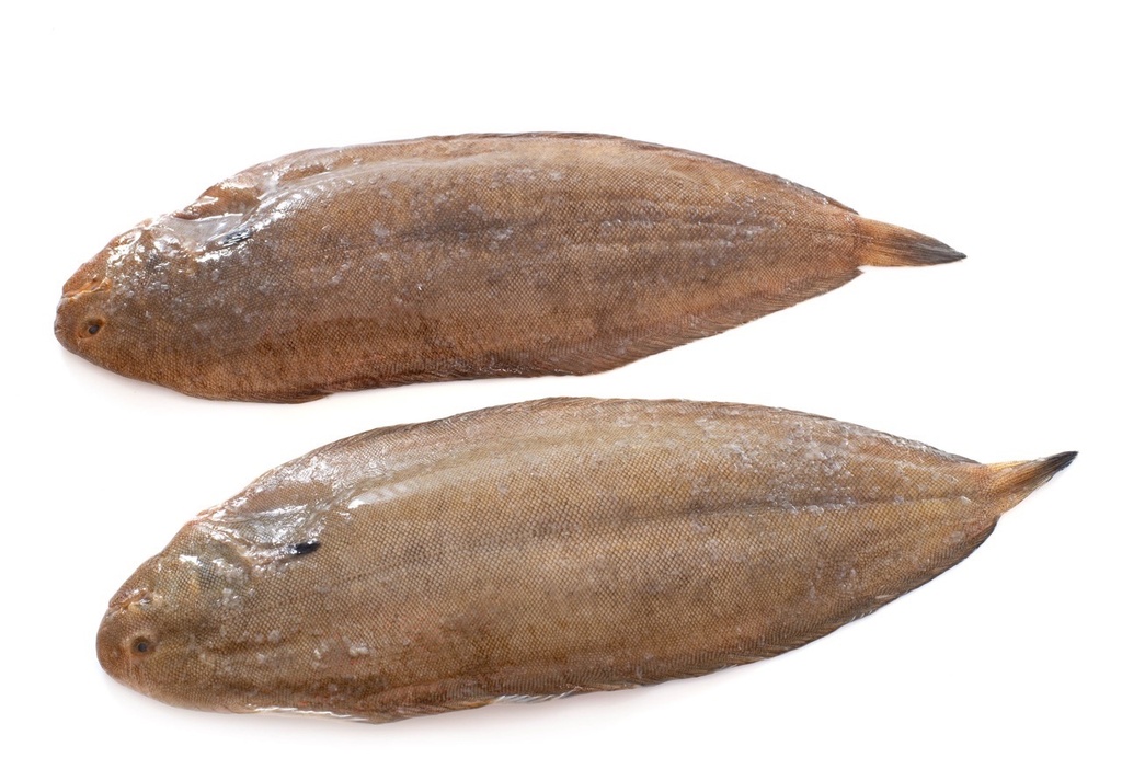 Sole | Entière avec peau | 800 g+