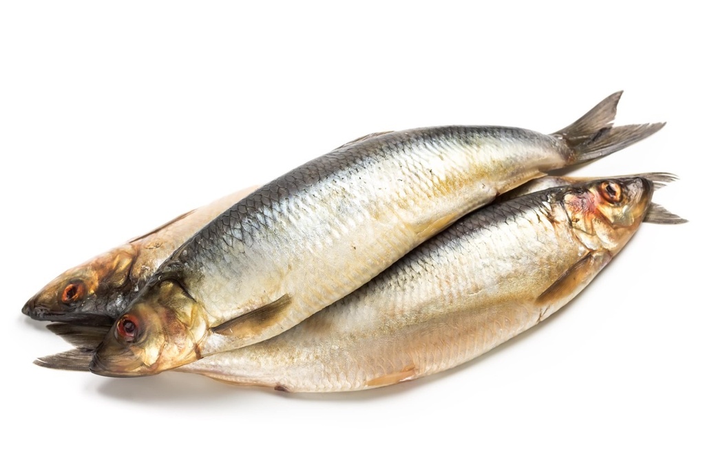 Hareng fumé | Brun | Par défaut