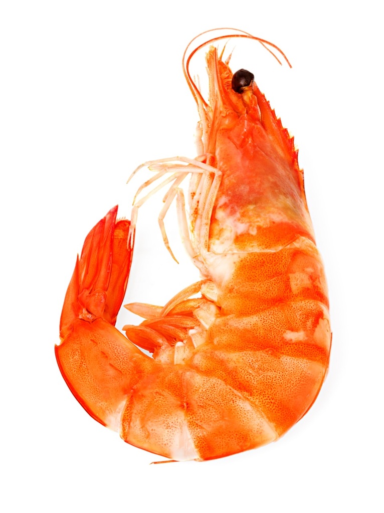 Crevette Madagascar | Cuite x2k | 30/40 p/k