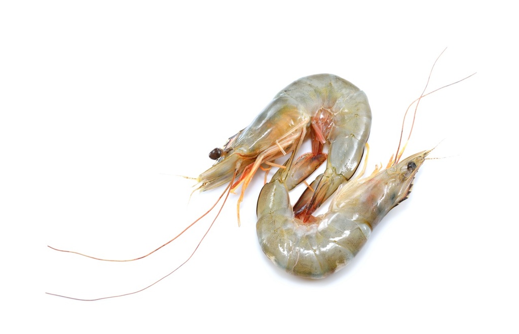 Black Tiger (crevette)  * | Gambas | 2/4 p/k
