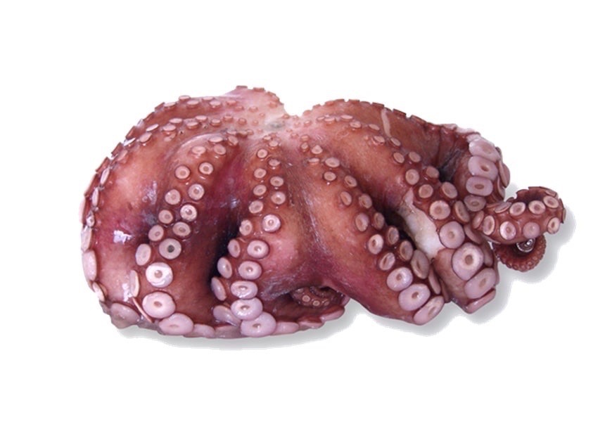 Poulpe * | Tentacule | 150/200 g /1,5kg