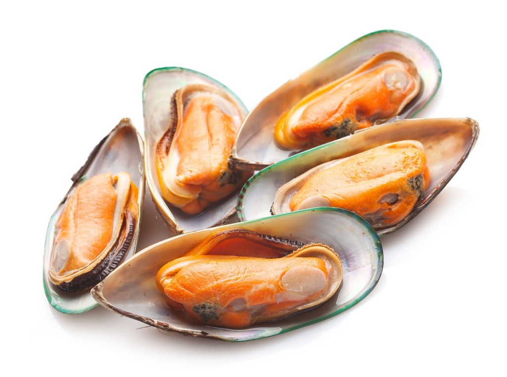 Moule * | Chair cuite | Panées