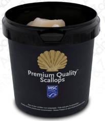 Saint-Jacques | Noix - US  - Prémium | 10/20