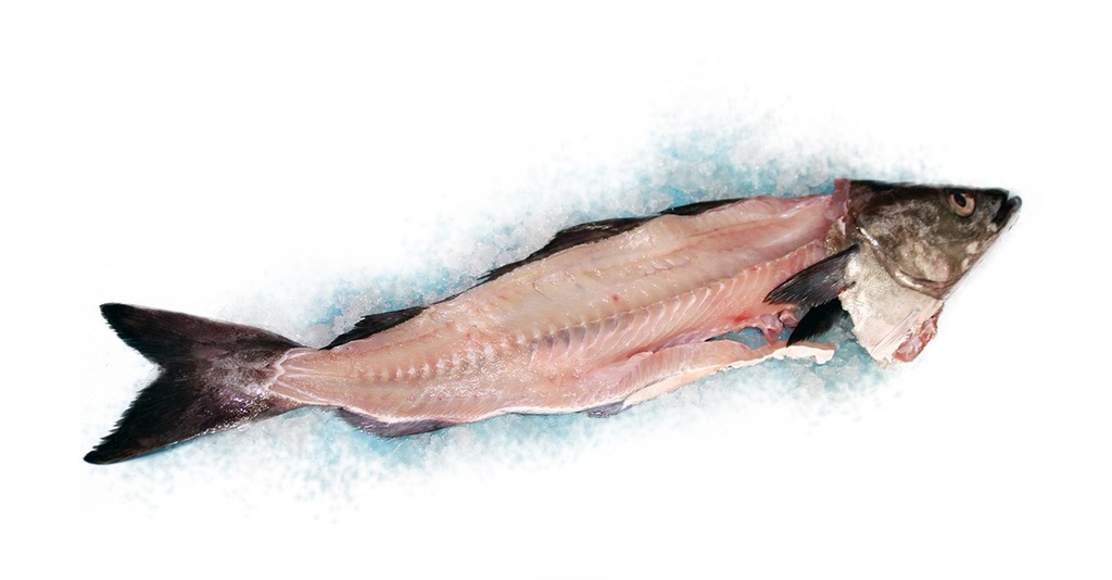 Arêtes de poissons | Par défaut | Par défaut