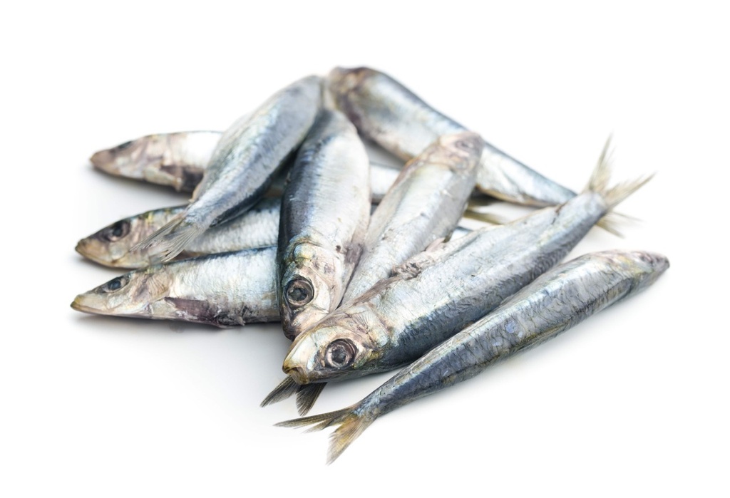 Sardine | Entière | Bretagne - ANE