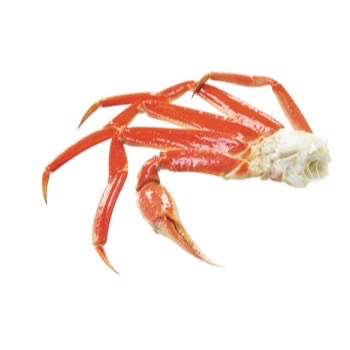 Crabe des neiges * | Carapaces vides - à farcir | +/-9cm