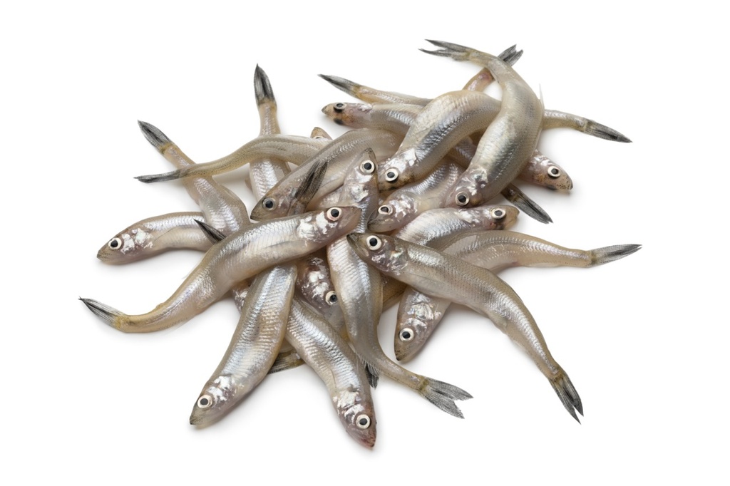 Eperlan * | Entier | 4/8 cm