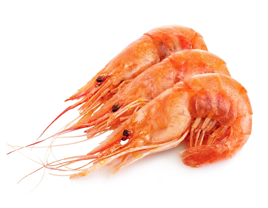 Crevettes cuites * | Non épluchée | 30/40