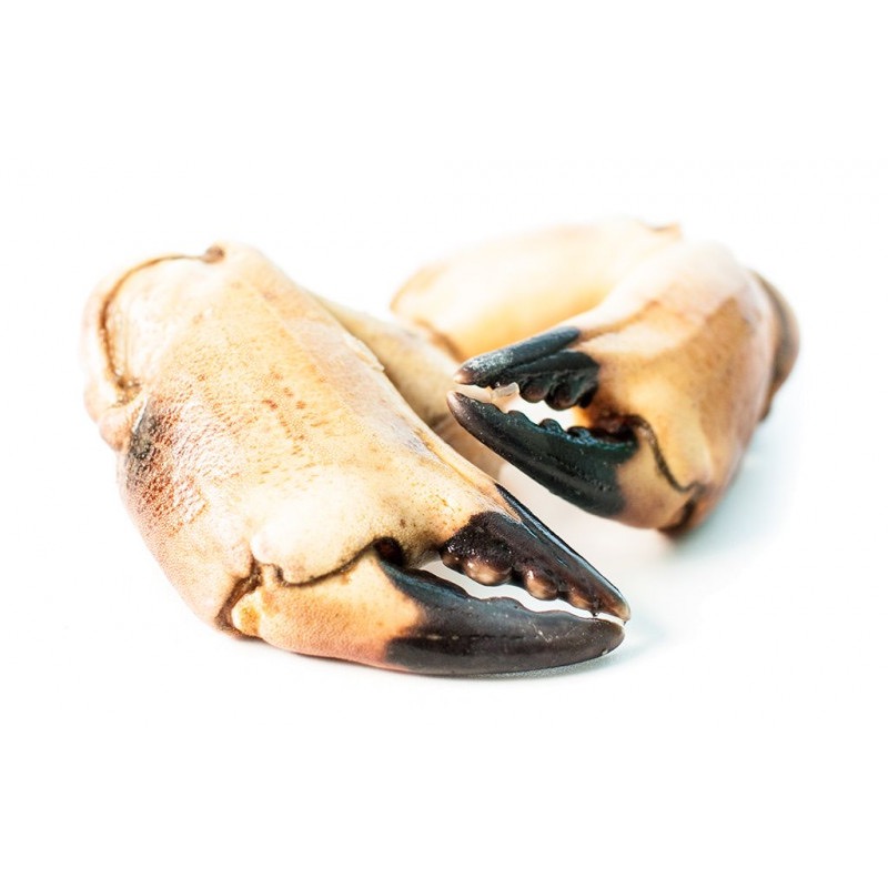 Tourteau * | Pinces Qualité Extra | 8/12