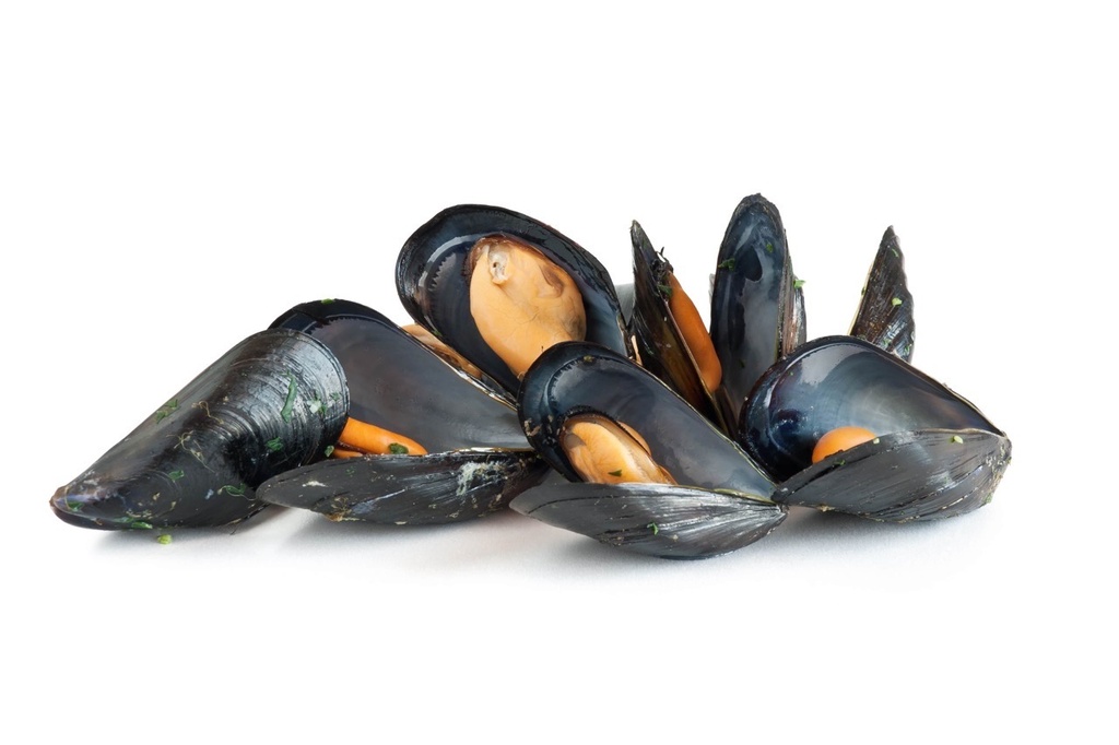 Moule de corde | Danemark  x9k | Jumbo