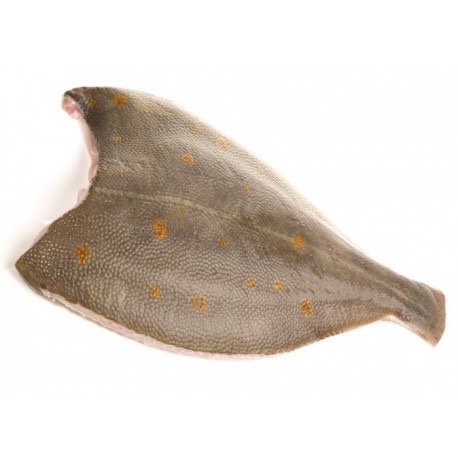 Plie * | Filet sans peau | 180gr