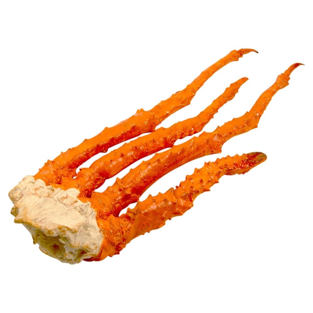 King crabe * | Main - cuit | 700/900 grs/m