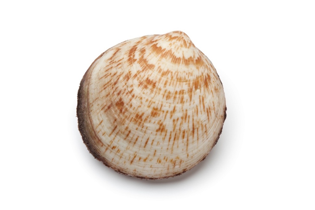 Amande | Vivant | Bourriche de 3 kgs