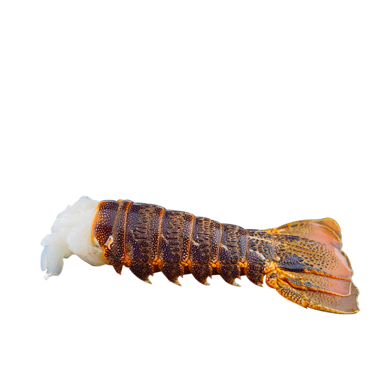 Langouste * | Queue | 300/350 g