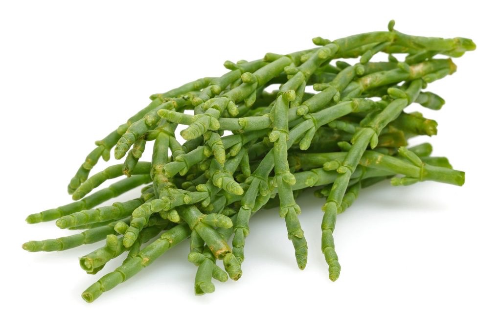 Légumes - Salicorne | Portugal | Par défaut