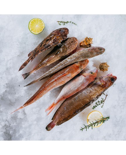 Mix de Poissons | Poissons de roche | Bouillabaisse