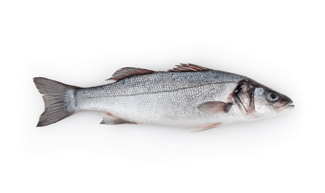 Bar | Entier vidé écaillé | 800/1000 g brut