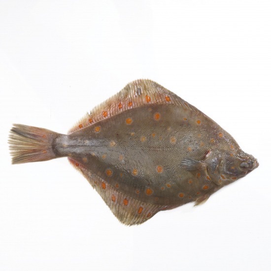 Plie | Filet avec peau | 400/600 g brut