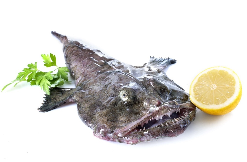 Lotte | Filet sans peau | 0,5/1 k brut