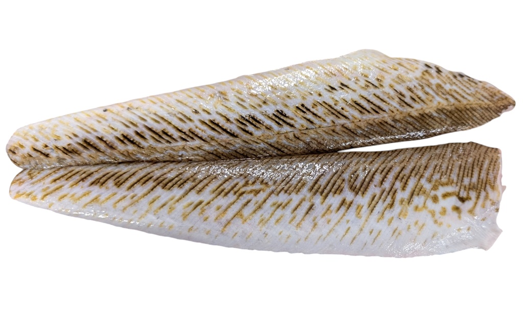 Vive | Filet avec peau | 150/300 g